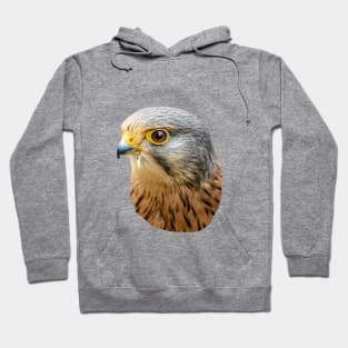 Kestrel Hoodie